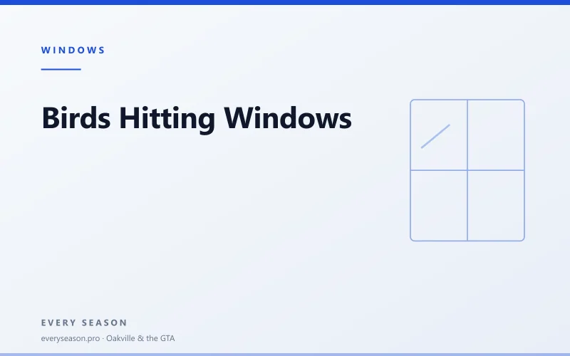 Light editorial banner reading Birds hitting windows, with a window motif