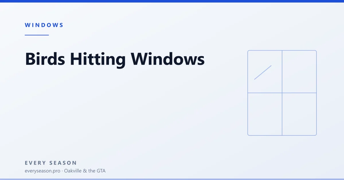 Light editorial banner reading Birds hitting windows, with a window motif