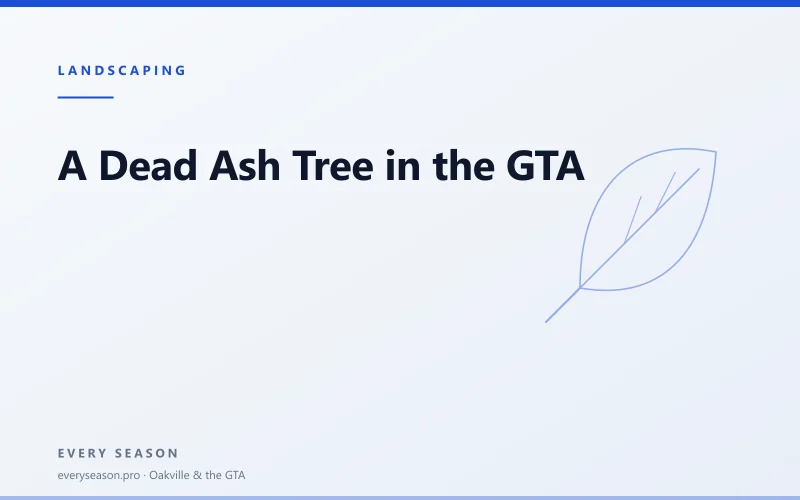 Light editorial banner reading Dead Ash Tree over a leaf motif, with the kicker LANDSCAPING