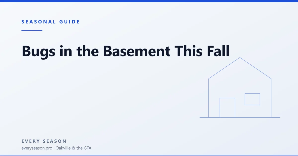 Light editorial banner reading Bugs in the basement this fall, with a house motif