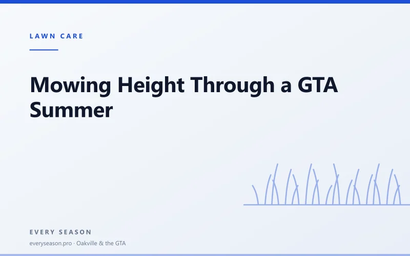 Editorial banner reading 'Mowing Height Through a GTA Summer' with a line-drawn lawn motif