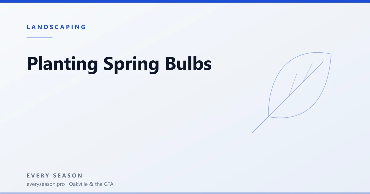 Light editorial banner reading Planting spring bulbs, with a leaf motif