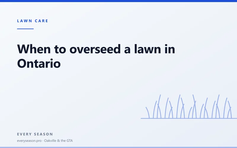 Editorial banner reading 'When to overseed a lawn in Ontario' with a line-drawn lawn motif