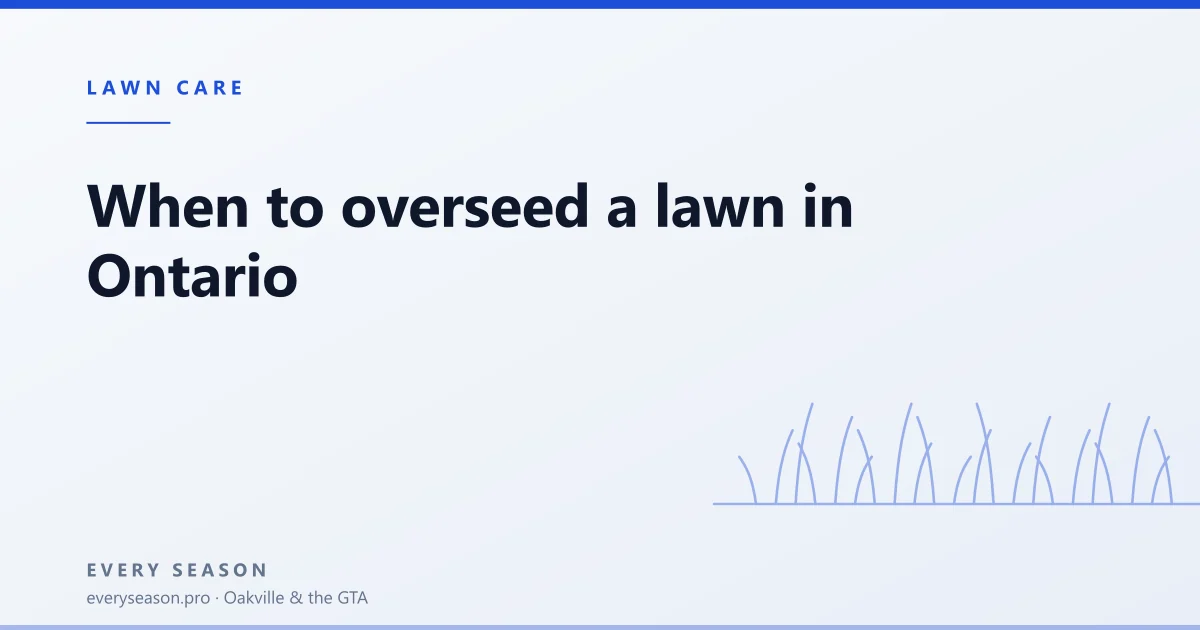 Editorial banner reading 'When to overseed a lawn in Ontario' with a line-drawn lawn motif
